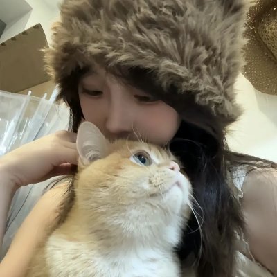 月季花开